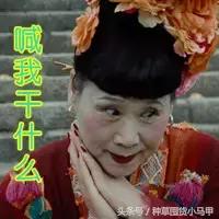 淘宝上100多的香奈儿是真的吗,香奈儿山寨