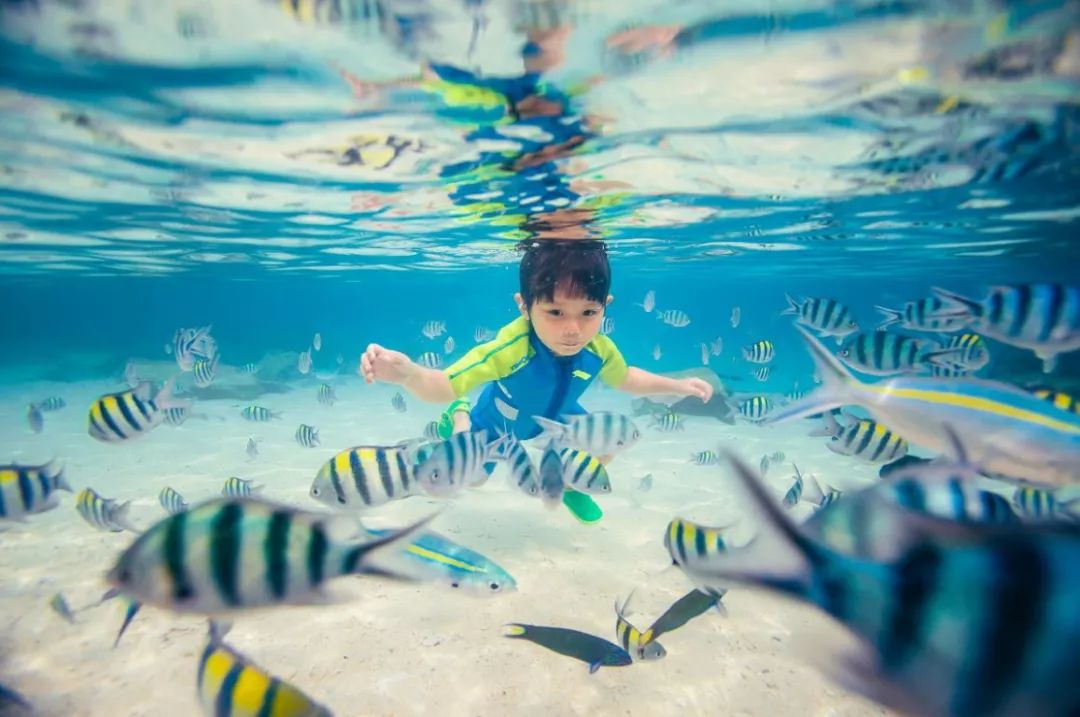 骨灰级干货史上最全海岛签证汇总 (骨灰级海岛自由行签证)