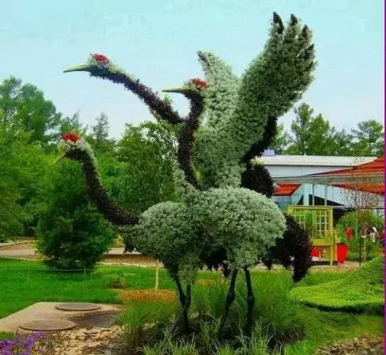 11月4，有群的都看看，太美了，这一辈子见一次值了！