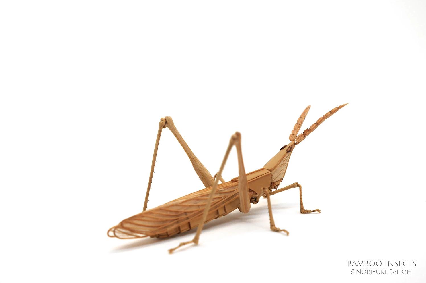 用树木制作一个简易昆虫模型,用枯树枝制作昆虫模型