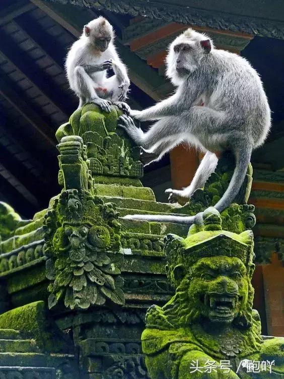 这10大东南亚“免签”仙境,月薪5K轻松走起,光看图已醉!