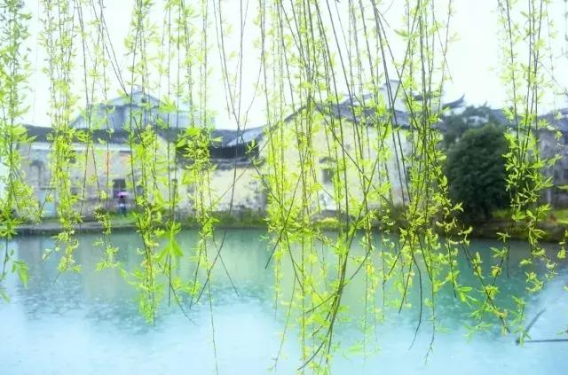 二十四节气惊蛰是哪一天,二十四节气惊蛰怎么画