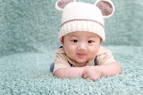 给属狗的男孩取名大全,2006属狗男孩取名字大全