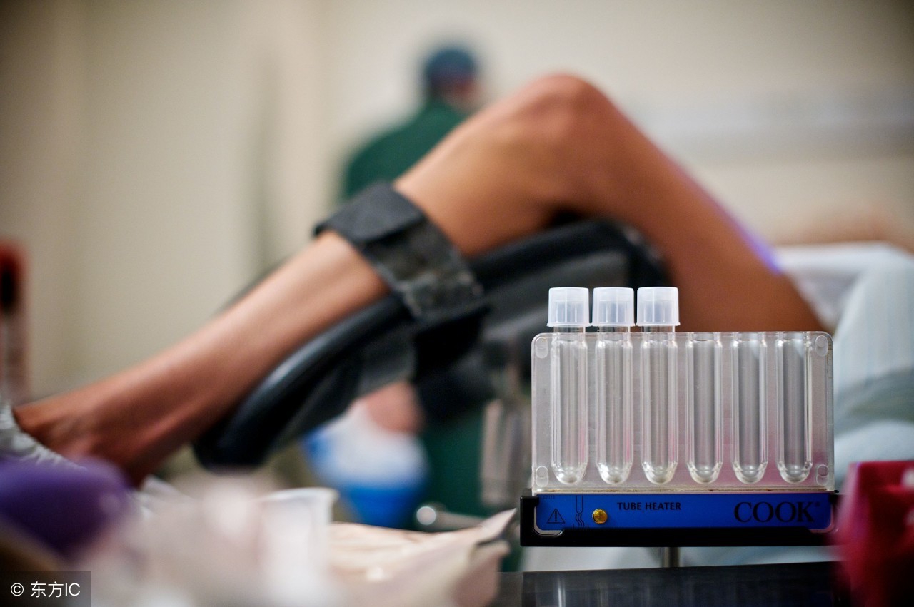 试管怀孕6周,一代试管婴儿胚胎的形成全过程