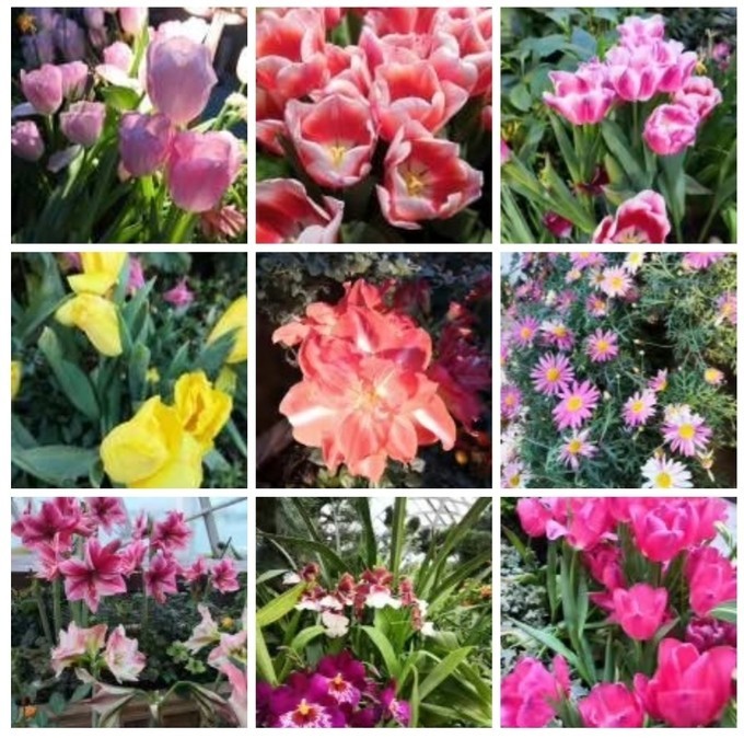 春节新加坡6天5晚亲子游,新加坡亲子游2017