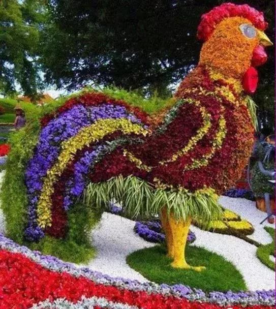 11月4，有群的都看看，太美了，这一辈子见一次值了！