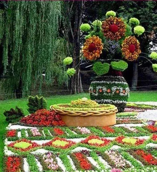 11月4，有群的都看看，太美了，这一辈子见一次值了！