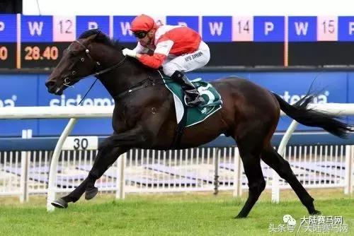 内蒙古莱德马业图片,内蒙古莱德马业最新消息