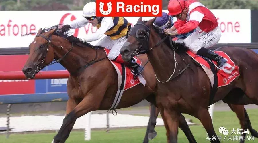 内蒙古莱德马业图片,内蒙古莱德马业最新消息