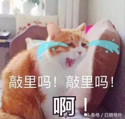 日照学区房的未来,日照学区房多少年一套