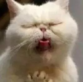 香港护肤彩妆品牌排行前十,香港好用的平价护肤品推荐