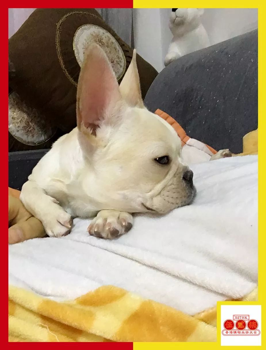 香港护肤彩妆品牌排行前十,香港好用的平价护肤品推荐