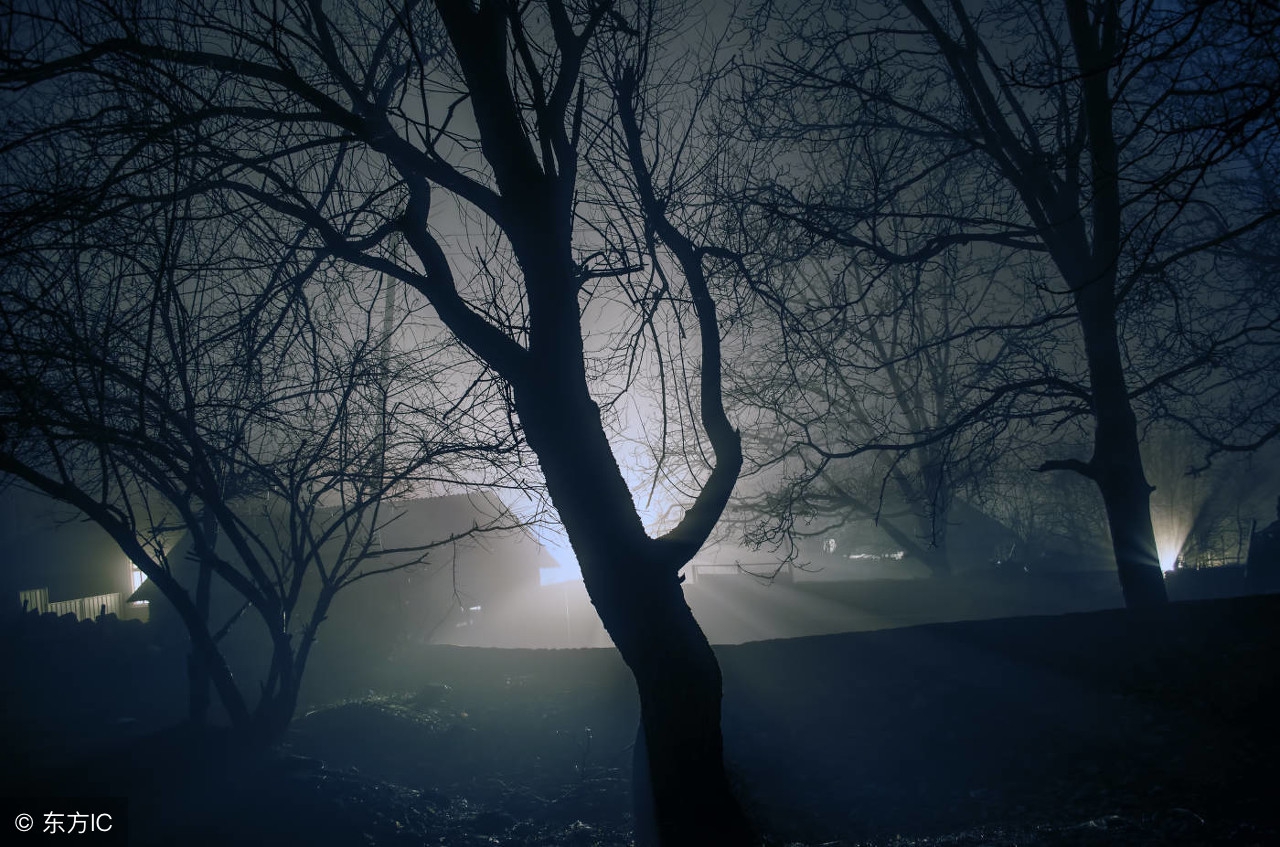 夜间如何拍风景好看,夜晚如何拍有光的景色好看