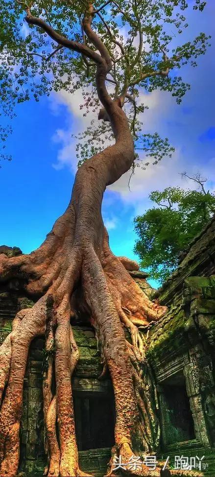 这10大东南亚“免签”仙境,月薪5K轻松走起,光看图已醉!