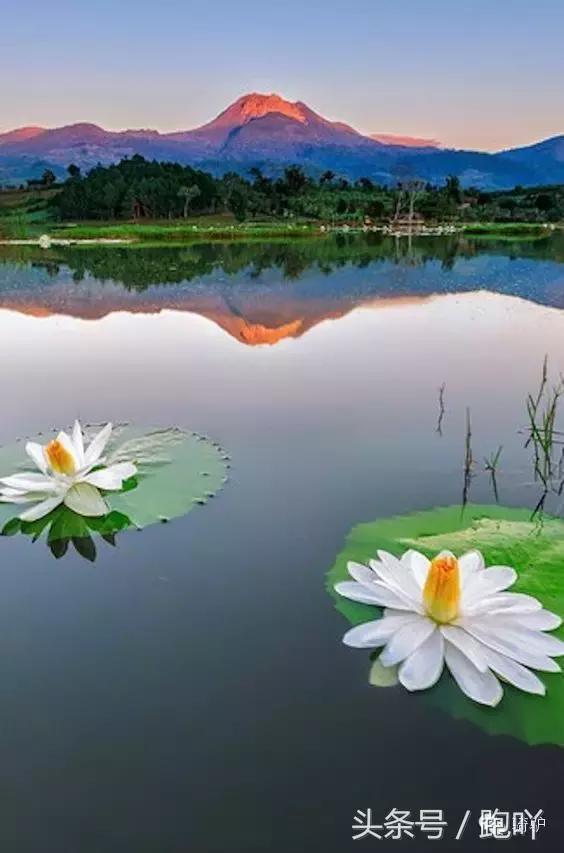 这10大东南亚“免签”仙境,月薪5K轻松走起,光看图已醉!