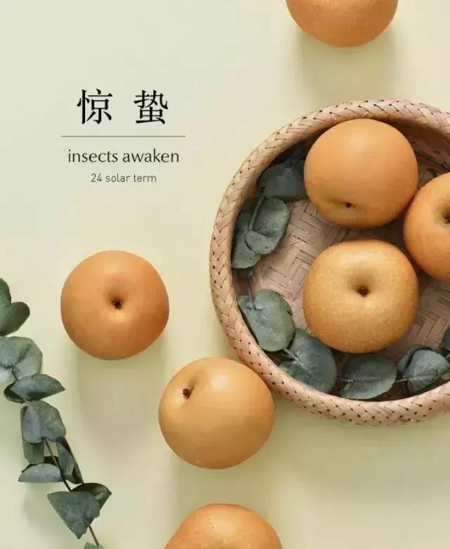 二十四节气惊蛰是哪一天,二十四节气惊蛰怎么画