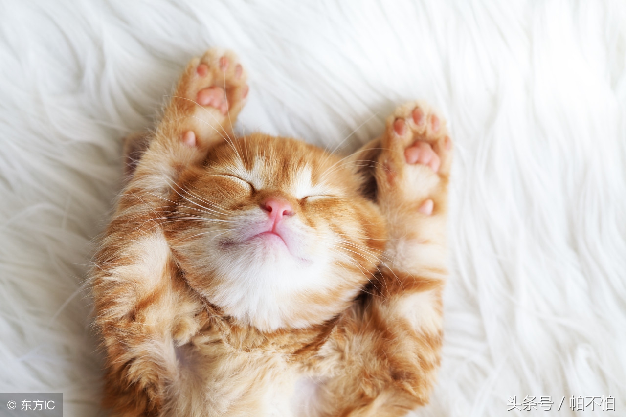 做对这3点专注力训练效果好10倍,做好这三点助你轻松提高受孕几率