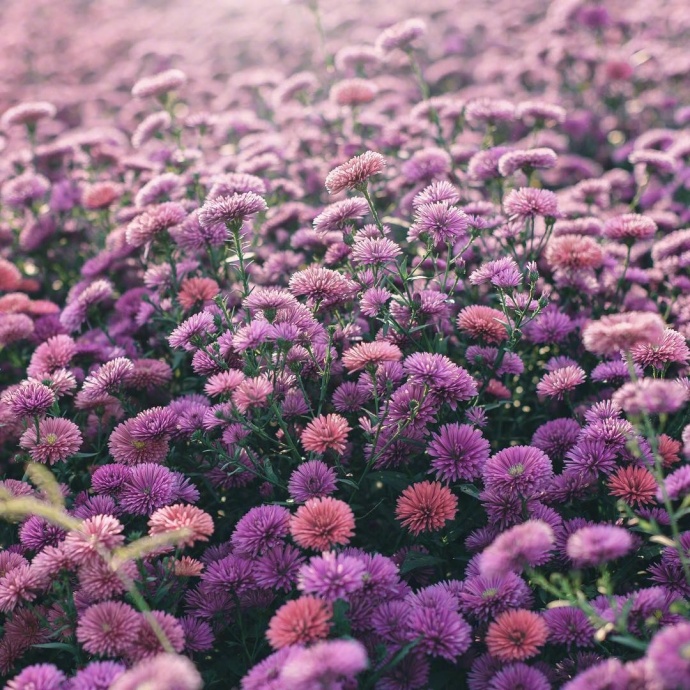 情感咨询｜栗子姐每日情感问答（0306）