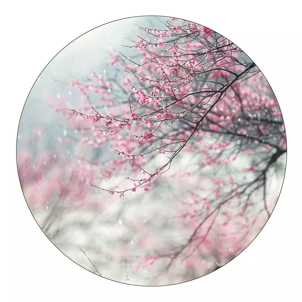 ps怎么在图层上画框,ps做出唯美效果