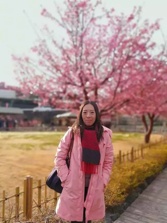 鏃ユ湰浜兘椋庢櫙宸濈搴锋垚,鏃ユ湰宸濈搴锋垚鍒濈鍥涙櫙