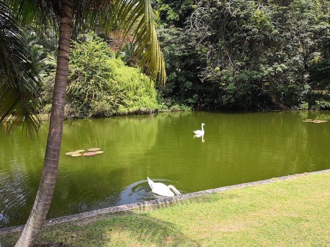 春节新加坡6天5晚亲子游,新加坡亲子游2017