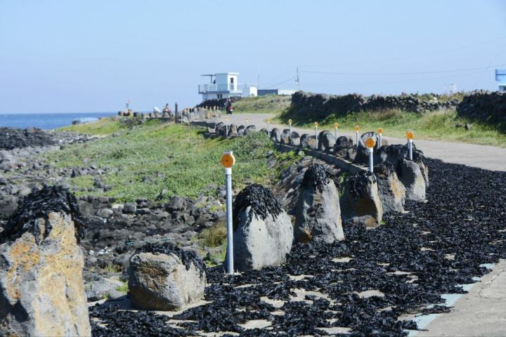 济州岛穷游一周多少钱,穷游可以去的地方