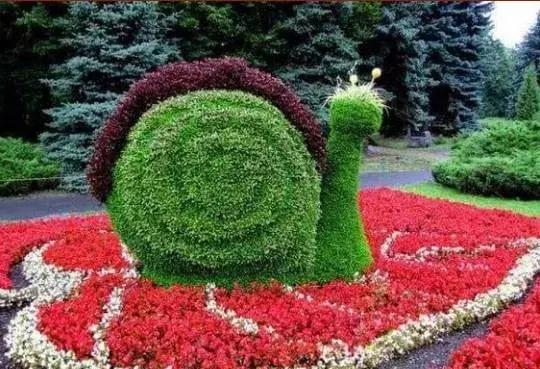 11月4，有群的都看看，太美了，这一辈子见一次值了！