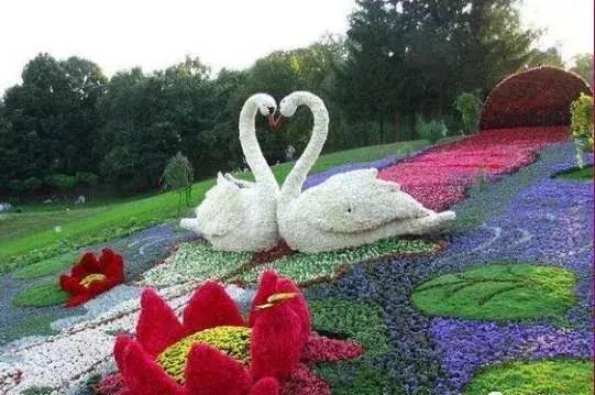 11月4，有群的都看看，太美了，这一辈子见一次值了！