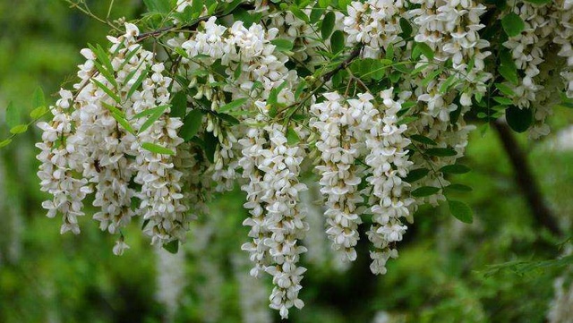 回忆那逝去的青春,80后怀念逝去的青春歌曲