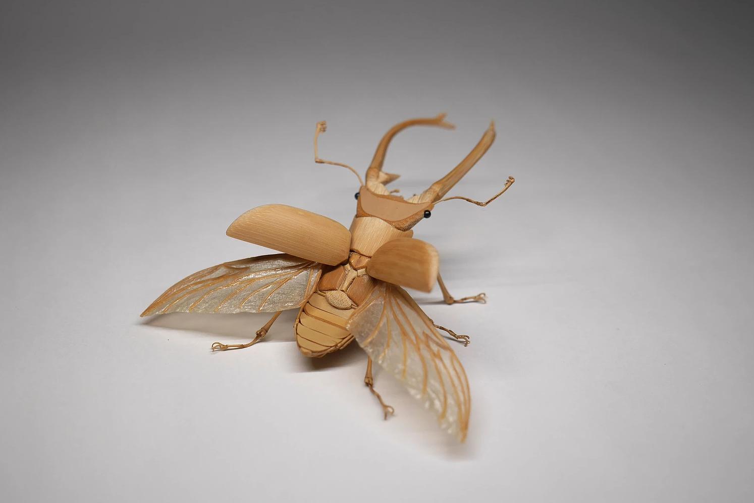 用树木制作一个简易昆虫模型,用枯树枝制作昆虫模型