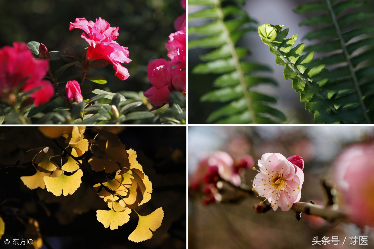 通读《黄帝内经》之六十四：逆四时而生乱气，奈何？