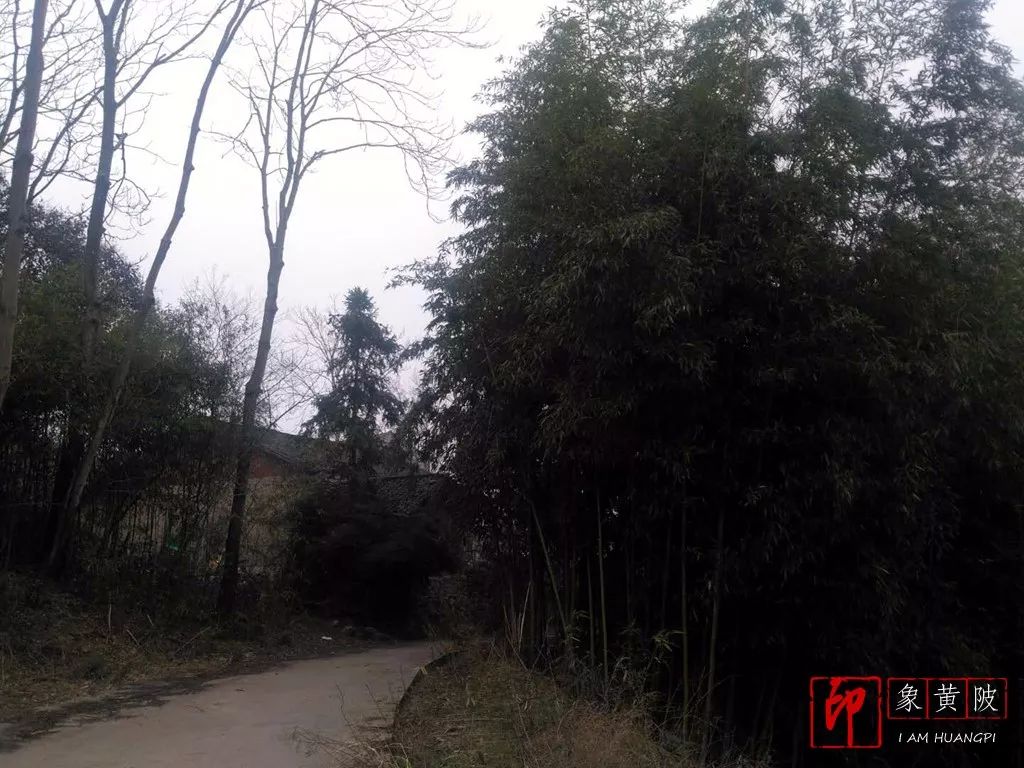 蔡店奇石,蔡店婚庆店