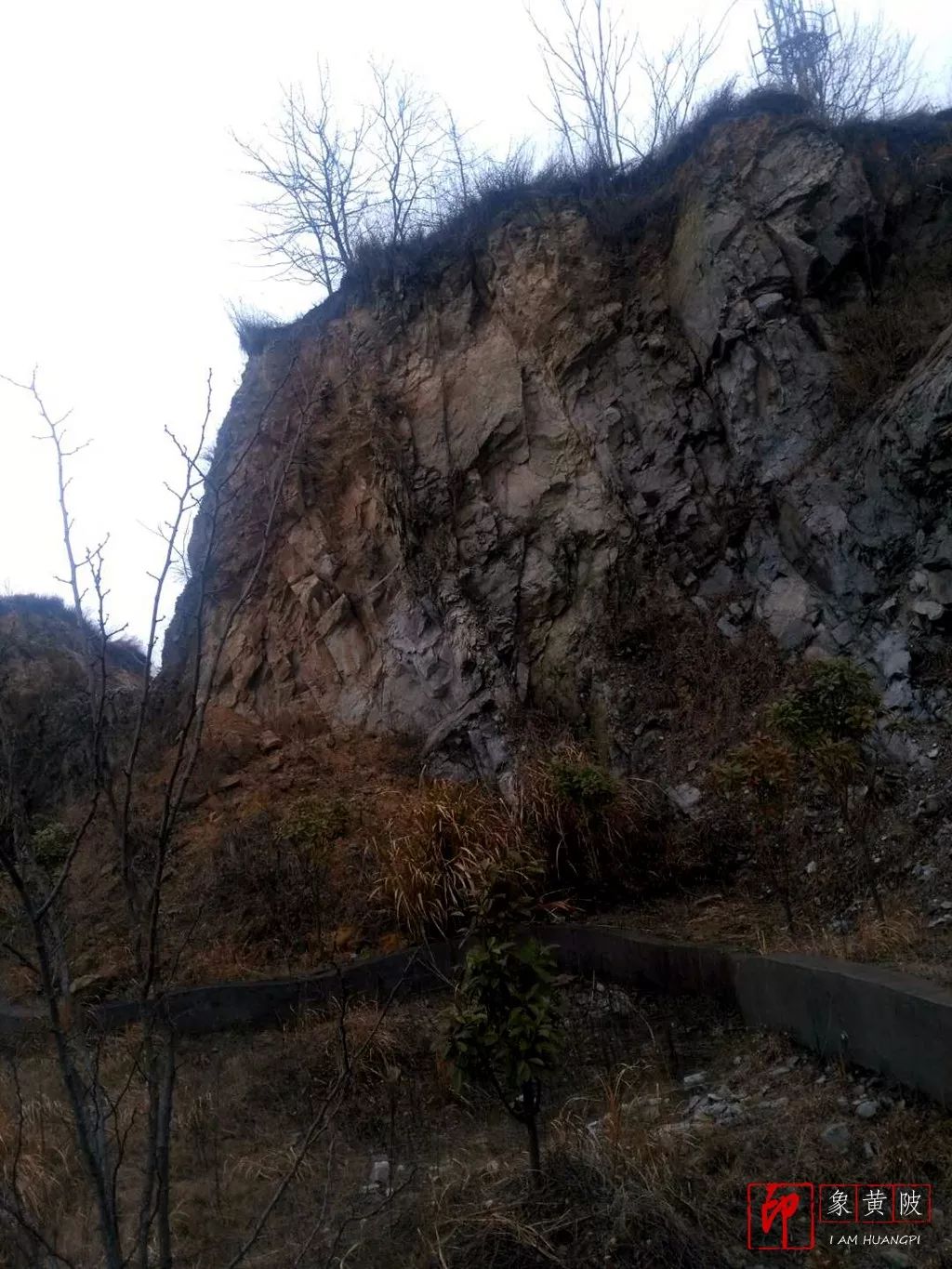 蔡店奇石,蔡店婚庆店