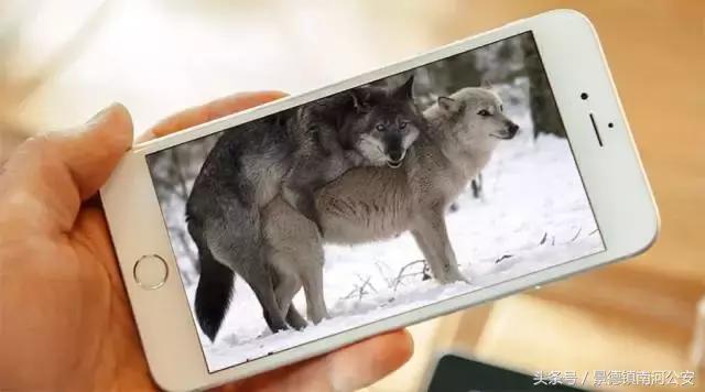 网上看片违法吗,在家上网看视频也耗流量吗