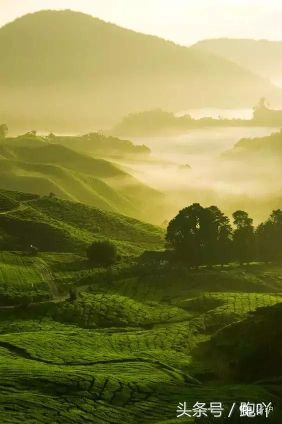 这10大东南亚“免签”仙境,月薪5K轻松走起,光看图已醉!