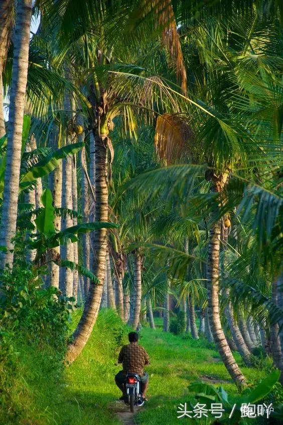 这10大东南亚“免签”仙境,月薪5K轻松走起,光看图已醉!