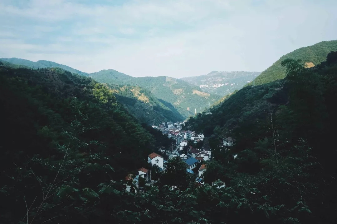 西施最爱的零食,恐龙时代已经存在,找遍整个中国才找到