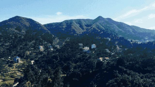 西施最爱的零食,恐龙时代已经存在,找遍整个中国才找到