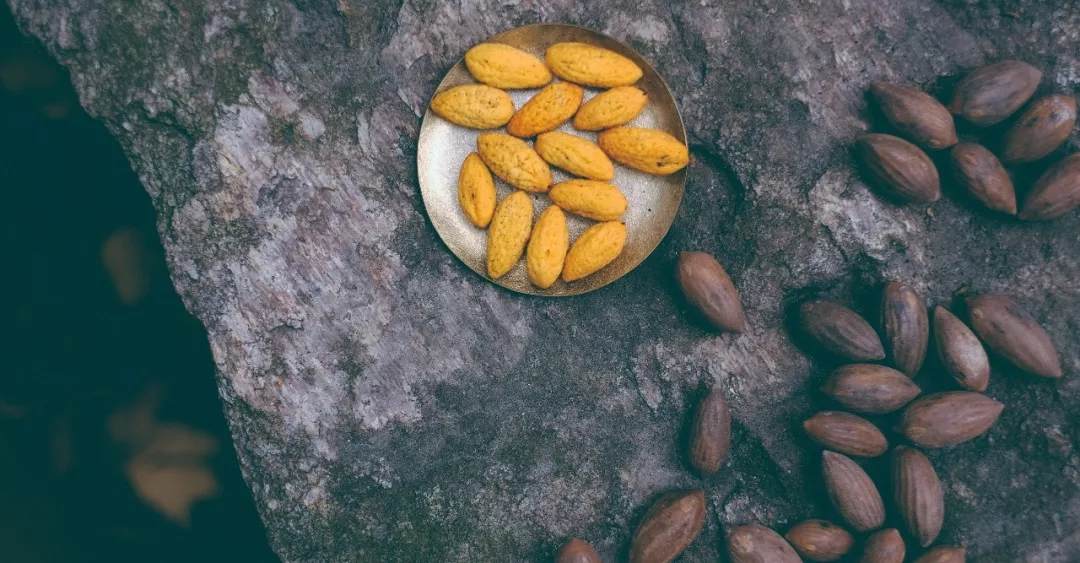西施最爱的零食,恐龙时代已经存在,找遍整个中国才找到