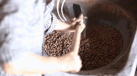 西施最爱的零食,恐龙时代已经存在,找遍整个中国才找到