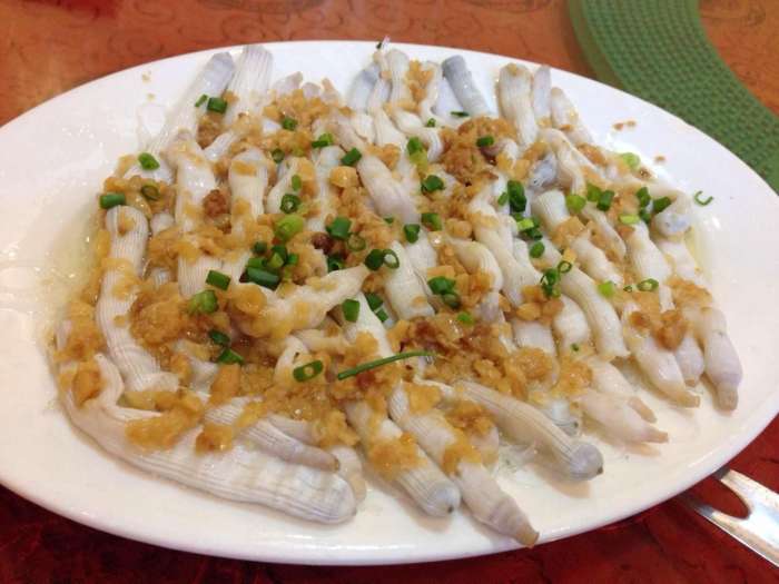 清早大叔在海边挖虫子，洗干净在餐桌上就是大补的美味