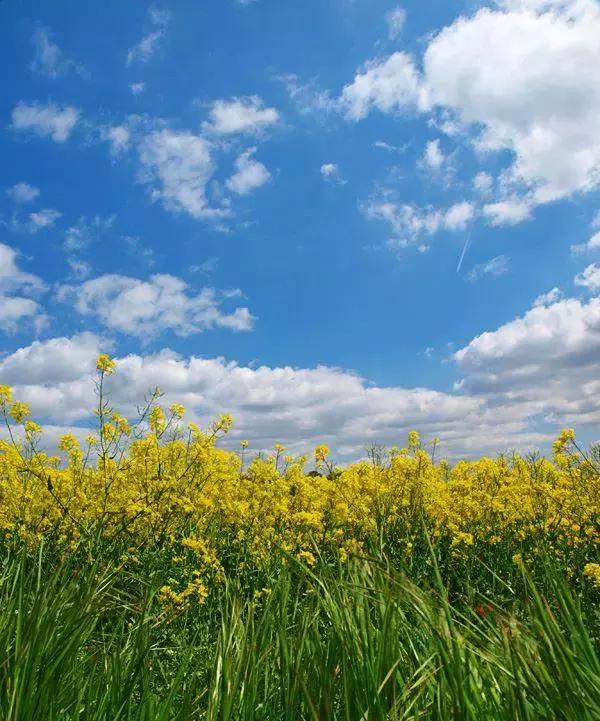 1月深圳飞哪里机票便宜,深圳飞国际机票低至300元起