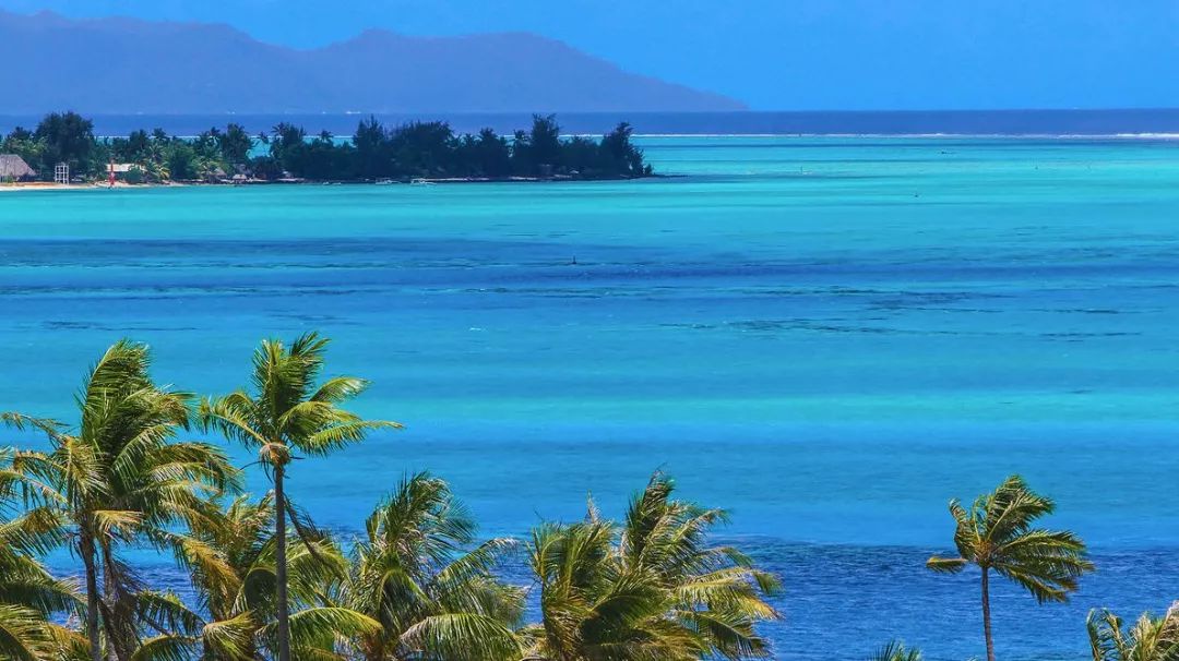 骨灰级干货史上最全海岛签证汇总 (骨灰级海岛自由行签证)