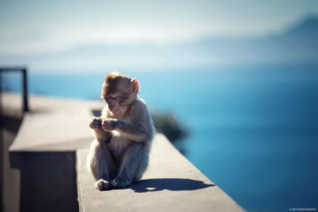 骨灰级干货史上最全海岛签证汇总 (骨灰级海岛自由行签证)