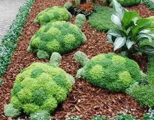 11月4，有群的都看看，太美了，这一辈子见一次值了！