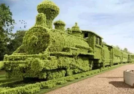 11月4，有群的都看看，太美了，这一辈子见一次值了！