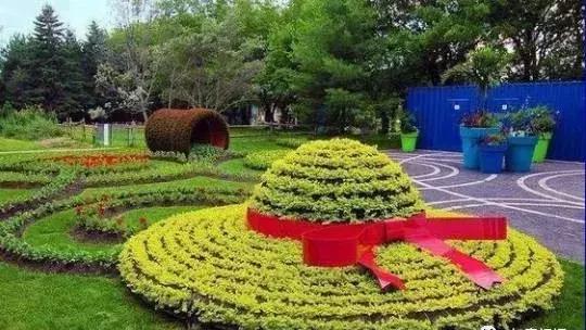 11月4，有群的都看看，太美了，这一辈子见一次值了！