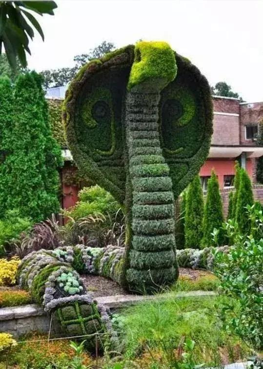 11月4，有群的都看看，太美了，这一辈子见一次值了！