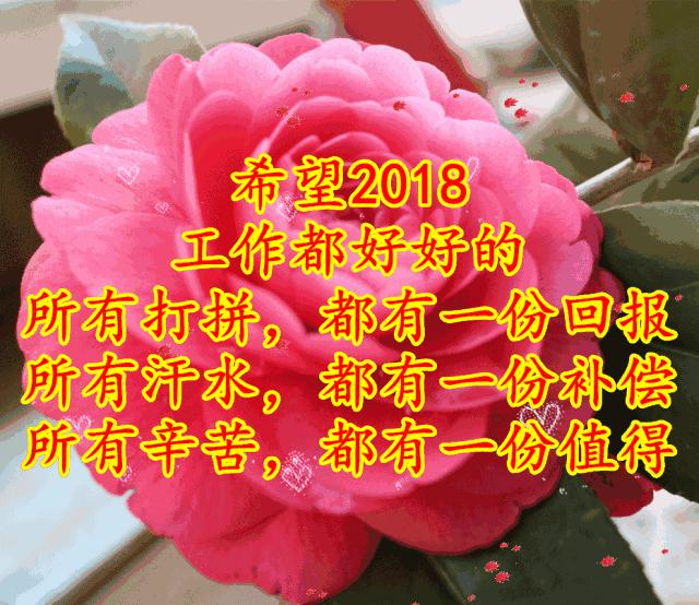 11月4，有群的都看看，太美了，这一辈子见一次值了！