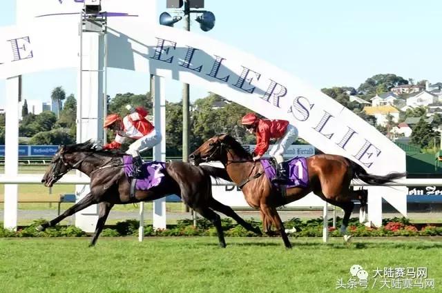 内蒙古莱德马业图片,内蒙古莱德马业最新消息